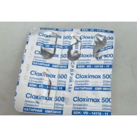 Thuốc Cloximox 500 - Kháng sinh điều trị nhiễm khuẩn