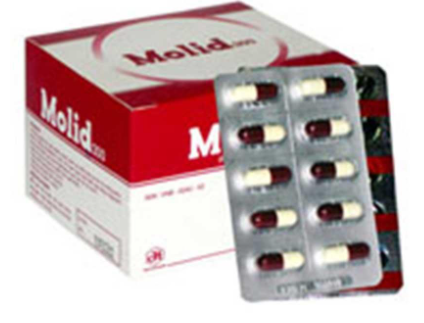 Thuốc Molid 300mg - Thuốc Có Tác Dụng Hạ Cholesterol Máu